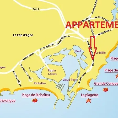 Cap D'agde 300m Plage Du Mole,vue Port,parking,lave Linge,piscine *