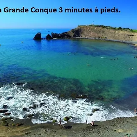 Cap D'agde 300m Plage Du Mole,vue Port,parking,lave Linge,piscine Apartment