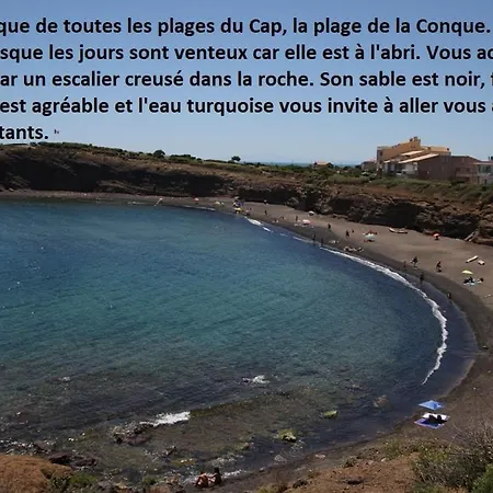 Cap D'agde 300m Plage Du Mole,vue Port,parking,lave Linge,piscine Apartment Agde